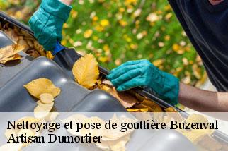 Nettoyage et pose de gouttière buzenval-92500 Artisan Dumortier
