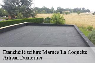 Etanchéité toiture  marnes-la-coquette-92430 Artisan Dumortier