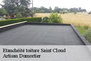 Etanchéité toiture  saint-cloud-92210 Artisan Dumortier