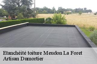 Etanchéité toiture meudon-la-foret-92360 Toitures d'Ile de France