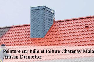 Peinture sur tuile et toiture  chatenay-malabry-92290 Artisan Dumortier