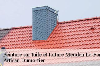 Peinture sur tuile meudon-la-foret-92360 Toitures d'Ile de France