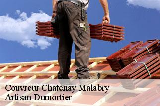 Couvreur  chatenay-malabry-92290 Artisan Dumortier