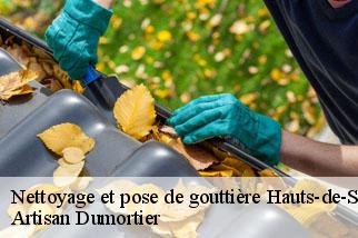Nettoyage et pose de gouttière 92 Hauts-de-Seine Artisan Dumortier