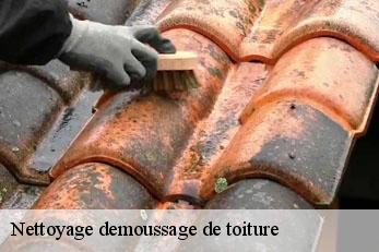 Nettoyage demoussage de toiture