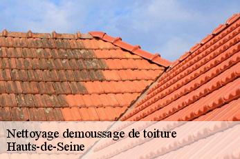 Nettoyage demoussage de toiture Hauts-de-Seine 