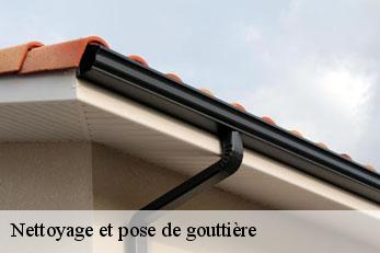 Nettoyage et pose de gouttière