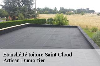 Etanchéité toiture saint-cloud-92210 Toitures d'Ile de France