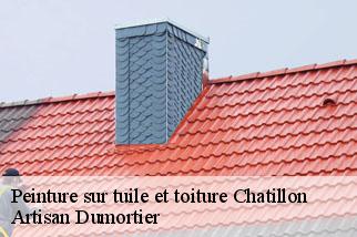 Peinture sur tuile et toiture  chatillon-92320 Artisan Dumortier