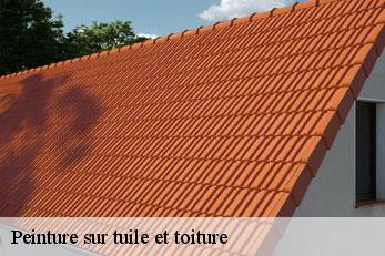 Peinture sur tuile et toiture