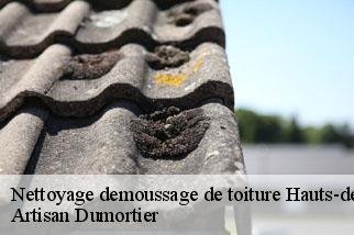 Nettoyage demoussage de toiture 92 Hauts-de-Seine  Artisan Dumortier